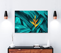 Obraz Strelícia 1958